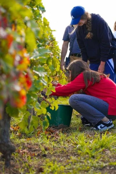 539432947_1113213847577368_4508579766222794013_n